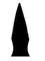 Forest Projectile Point