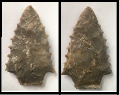 Kirk Serrated Projectile Point