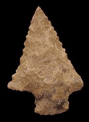 Kirk Serrated Projectile Point