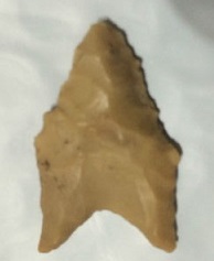 Dalton Projectile Point